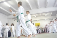 thumbs9380