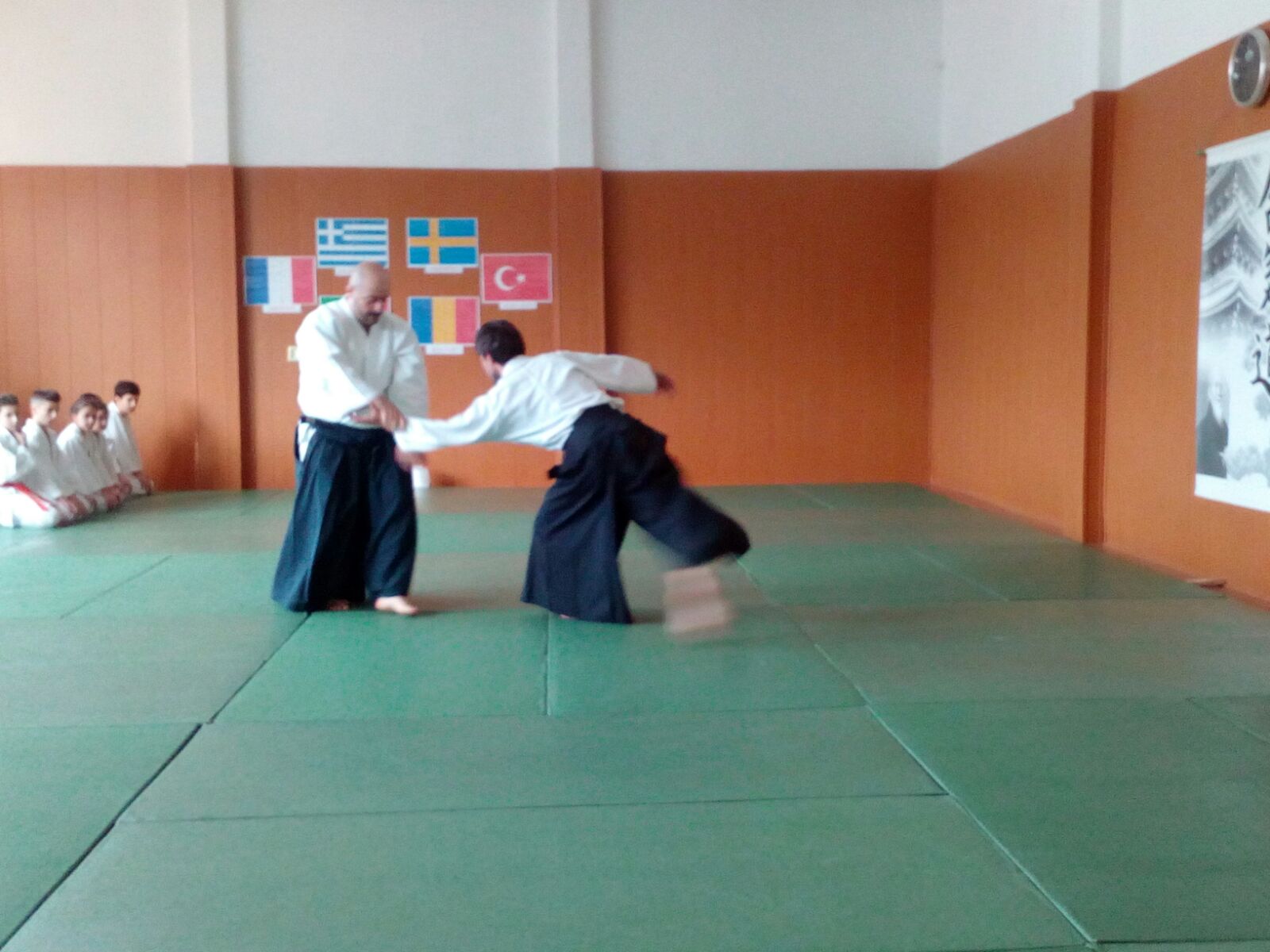 You are currently viewing Stagiu National Aikikai Romania