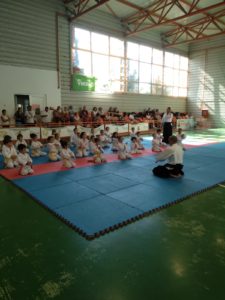 Read more about the article Stagiul national Aikikai Romania-Ploiesti 25 August 2019