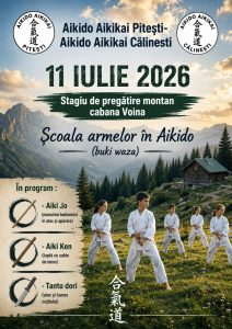 Read more about the article Stagiu de pregatire montan cabana Voinea