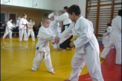thumbs4152-2