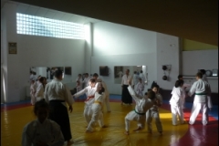 thumbse225