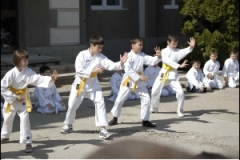 thumbs6ec9