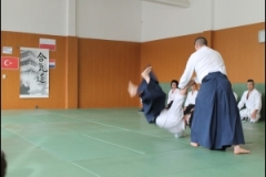 thumbs55fa