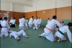 thumbs625b