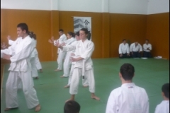 thumbs235a