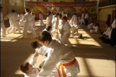 thumbs171c