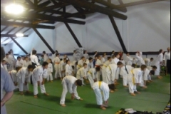 thumbs03f5