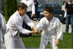 thumbs8269