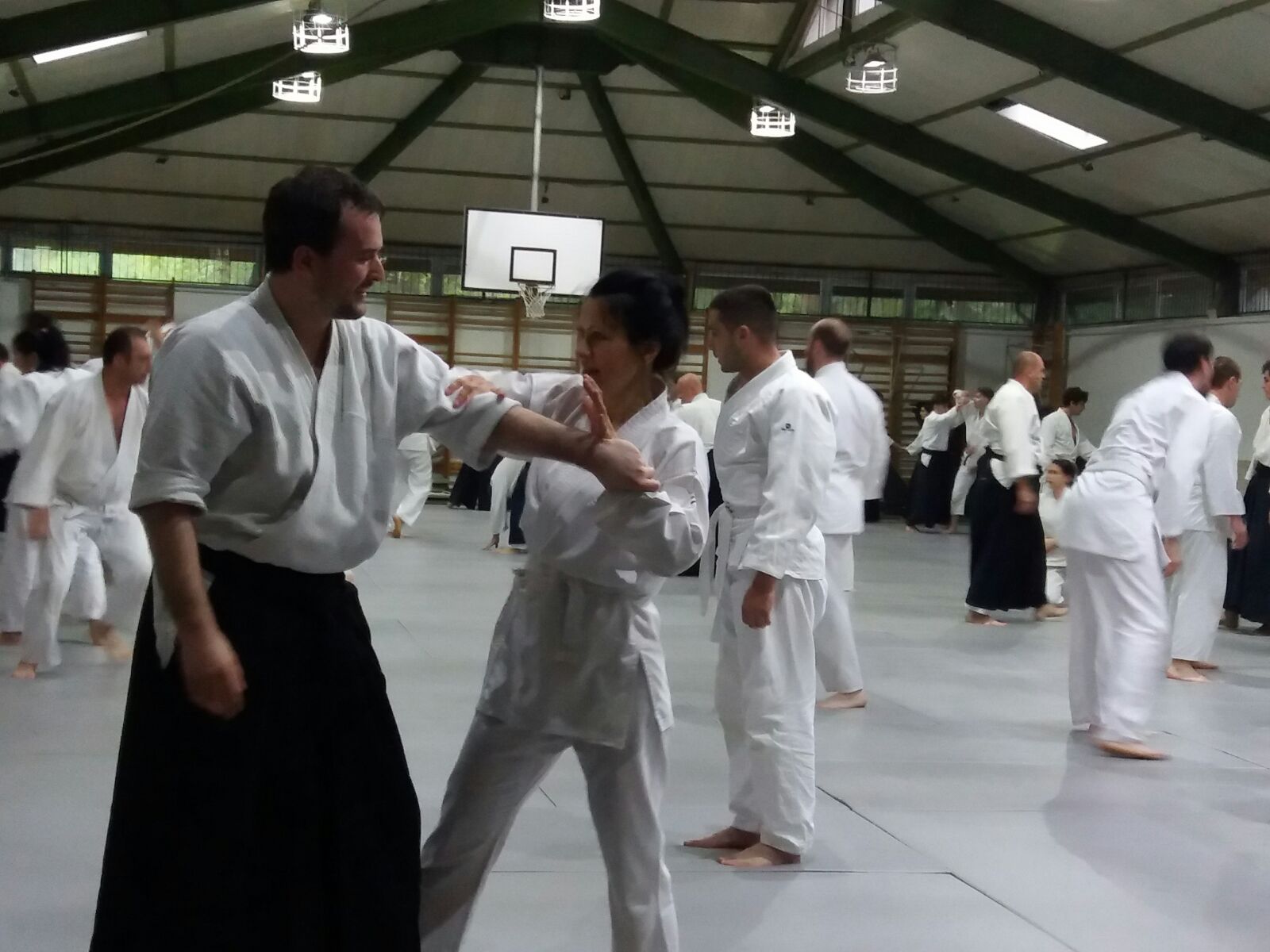 Read more about the article Seminarul National de Aikido Aikikai Poiana Brasov