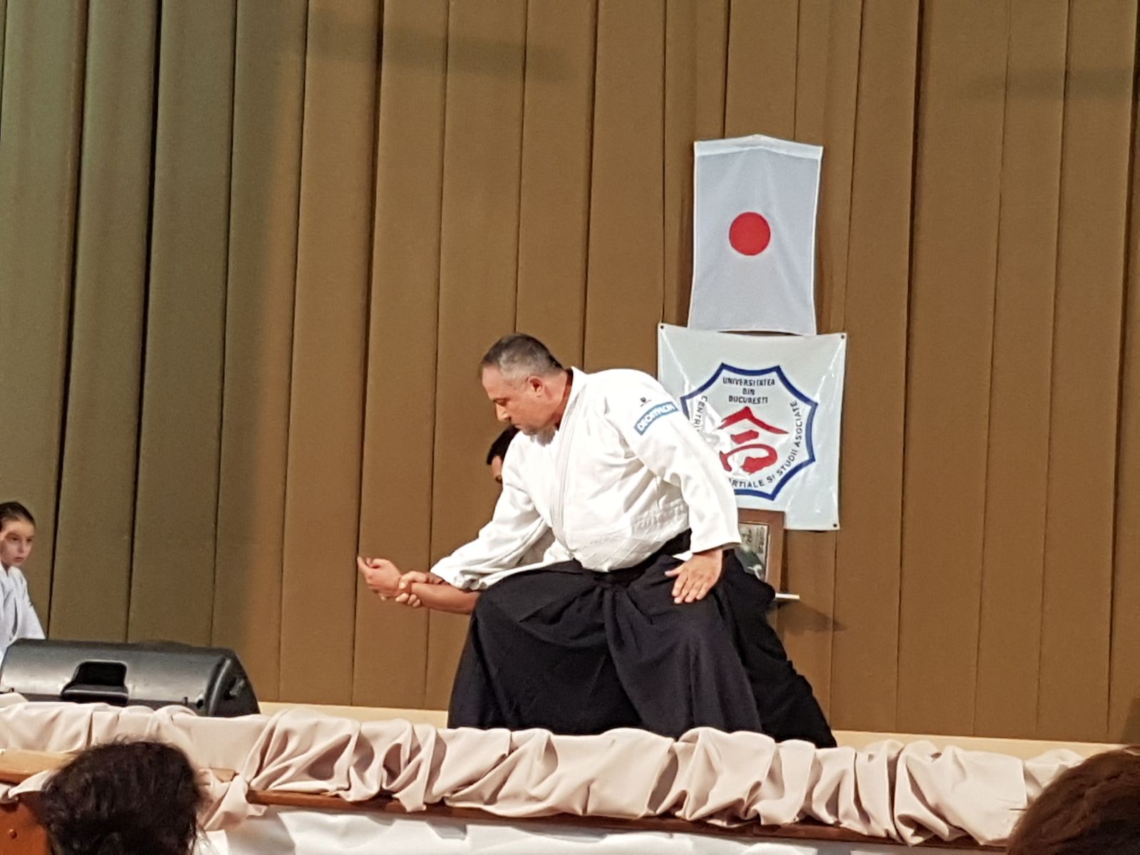 Read more about the article Demonstratie Nationala de Aikido