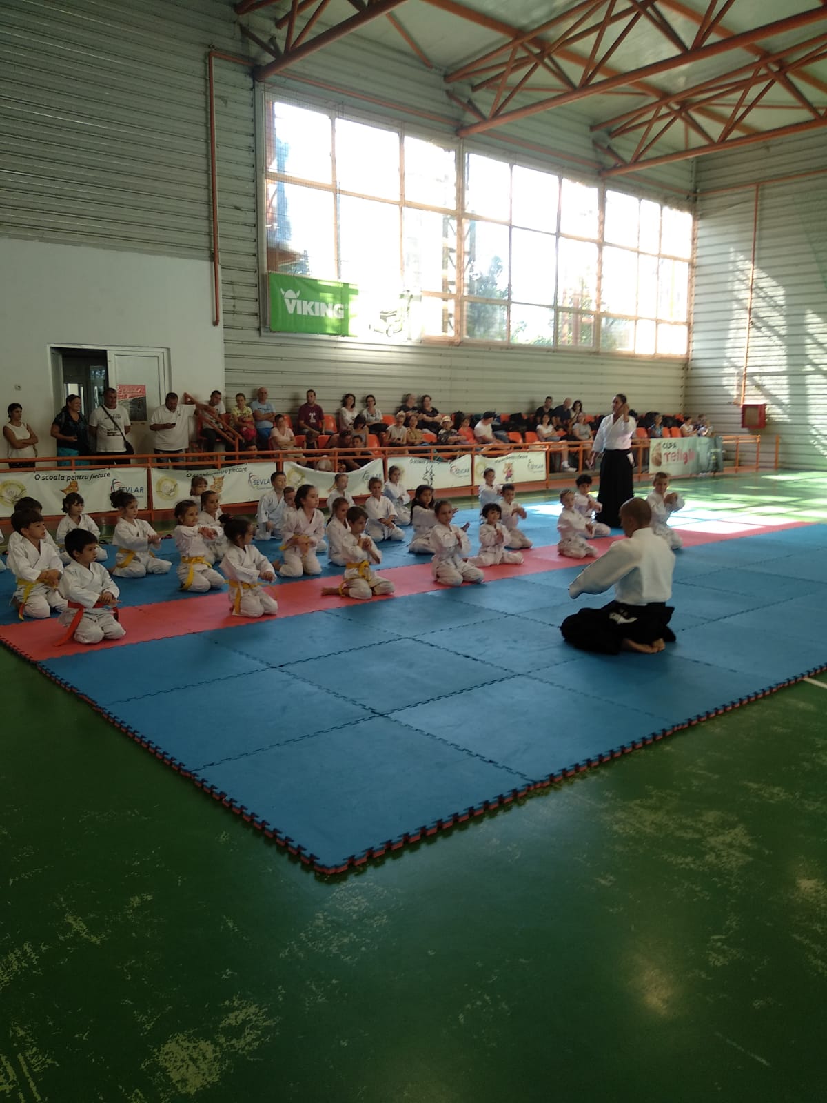 You are currently viewing Stagiul national Aikikai Romania-Ploiesti 25 August 2019
